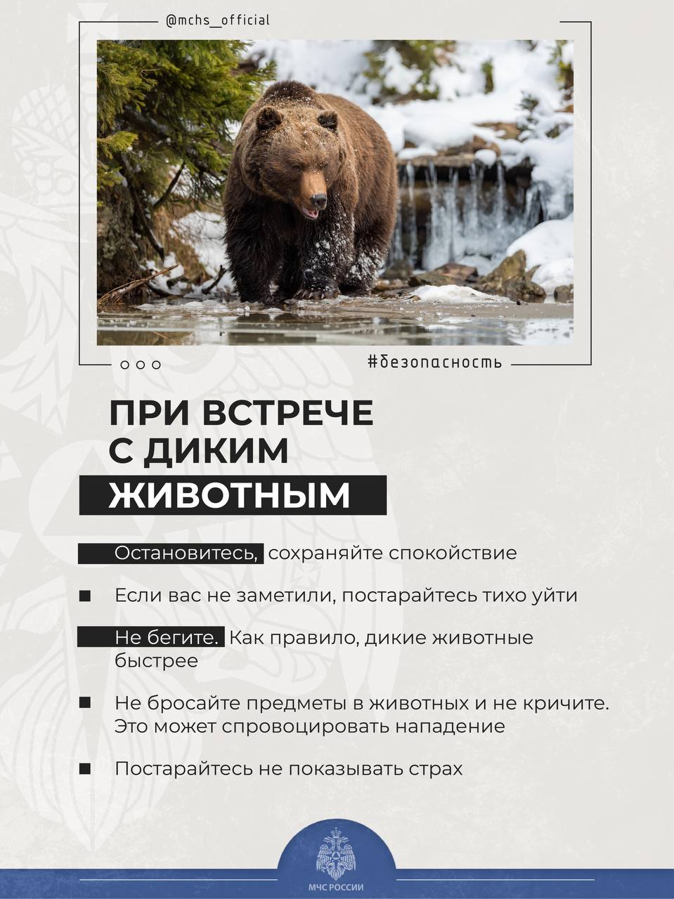 Встреча с опасными животными.