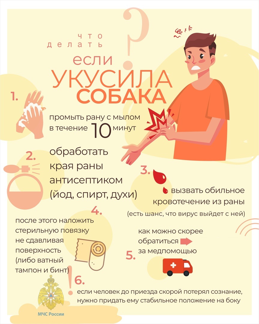 Укусила собака.